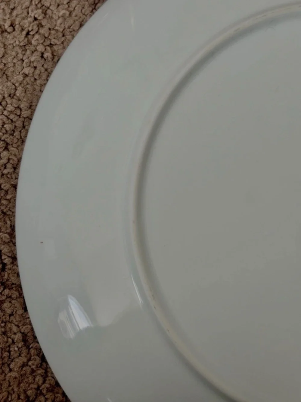 Crate & Barrel Beetle Ladybug Dinner Plate By Jane Dixon Ceramic Y2K Bug Dish